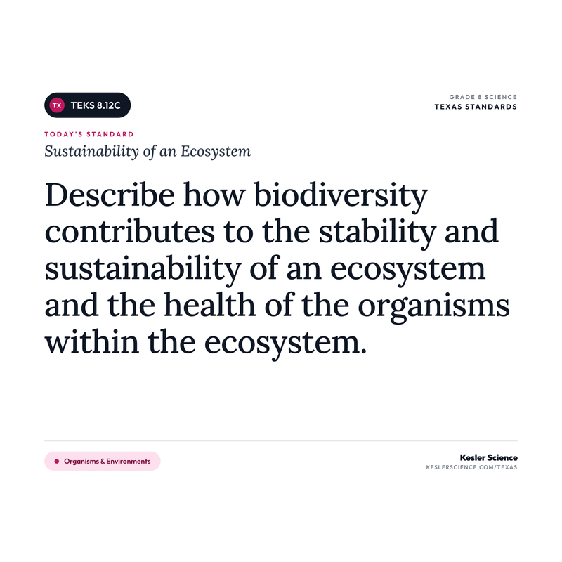 Sustainability of an Ecosystem — I Can Poster Pack cover