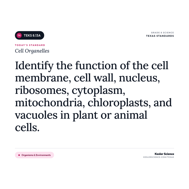 Cell Organelles — I Can Poster Pack cover