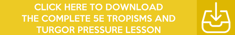 Tropisms-and-Turgor-Pressure-BANNER