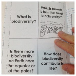 biodiversity1-300x300