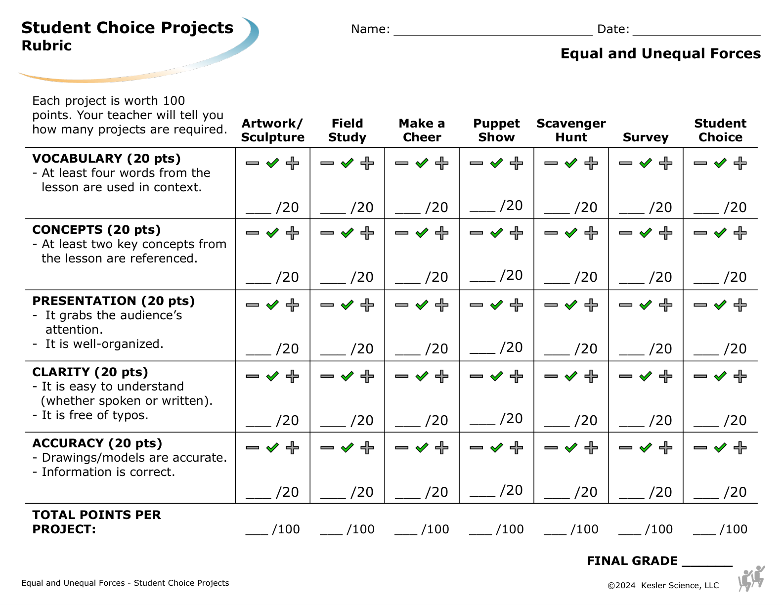 Student choice project options and rubric for the equal and unequal forces lesson