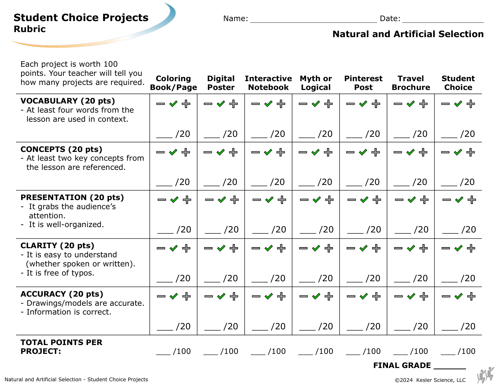 Student choice project options and rubric for the natural and artificial selection lesson