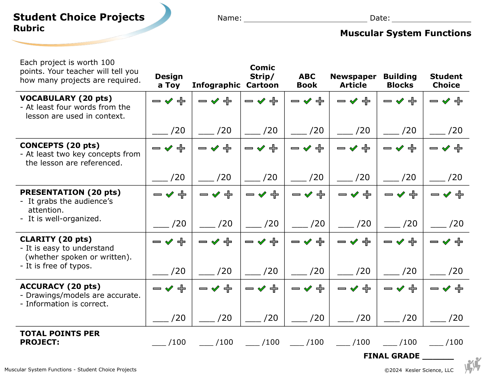 Student choice project options and rubric for the muscular system functions lesson