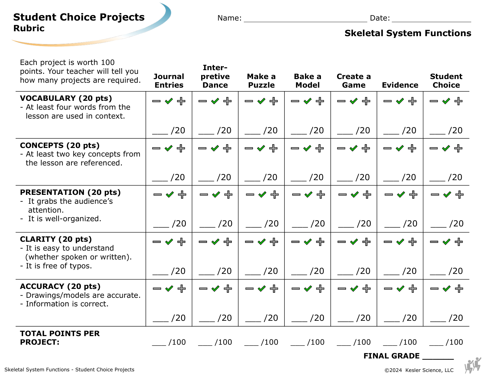 Student choice project options and rubric for the skeletal system functions lesson