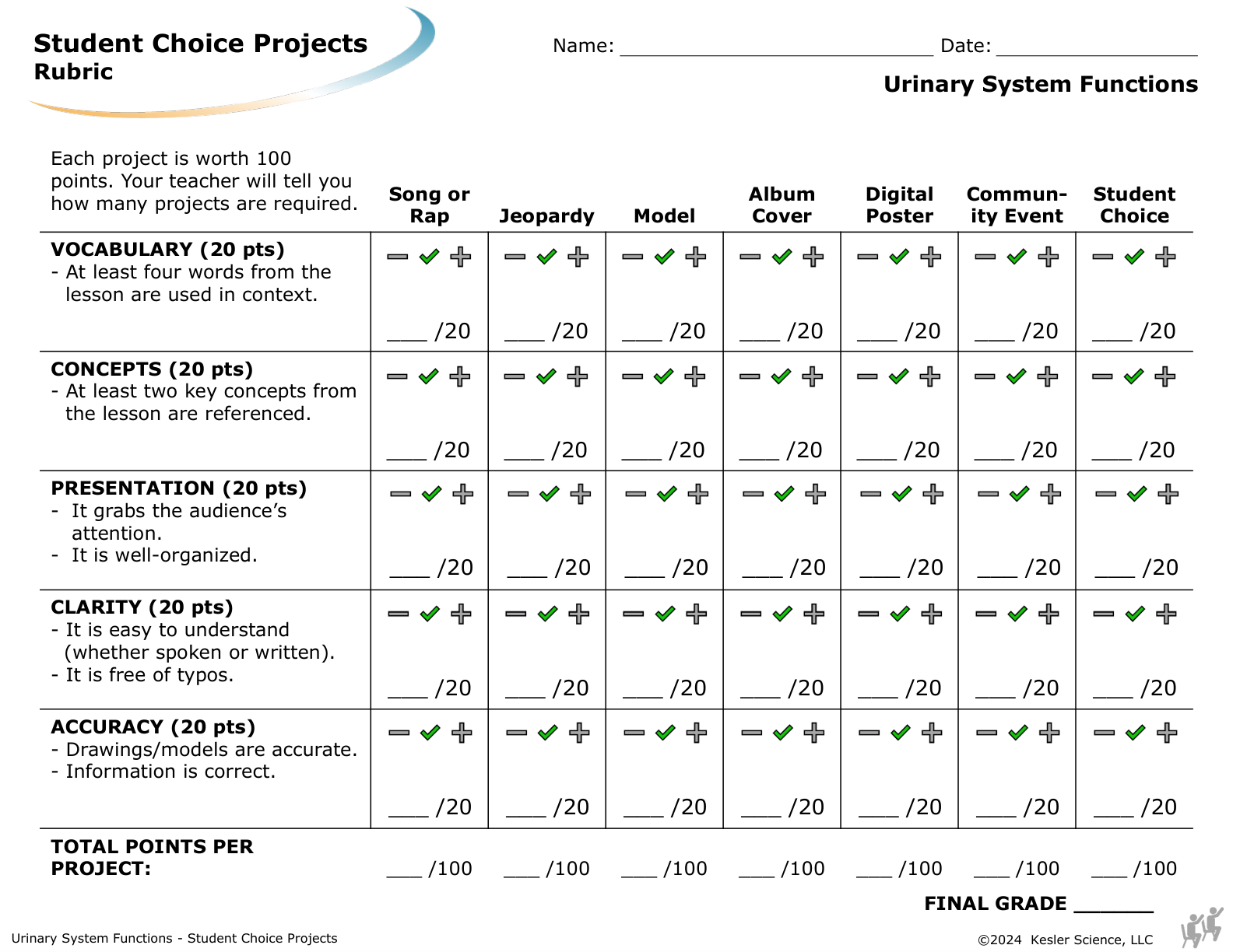 Student choice project options and rubric for the urinary system functions lesson
