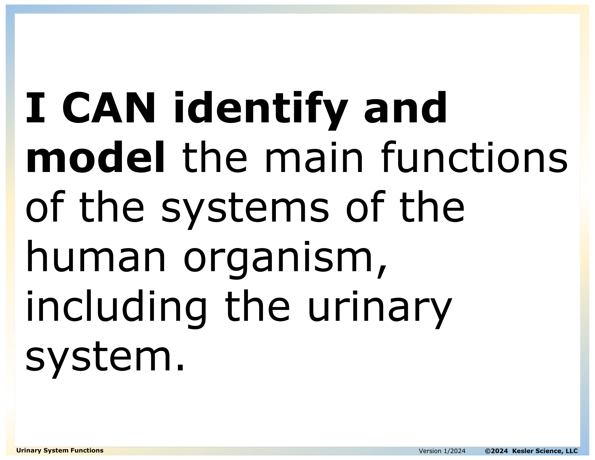 I CAN statement and key vocabulary for the urinary system functions lesson