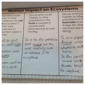 human-impact1-300x300