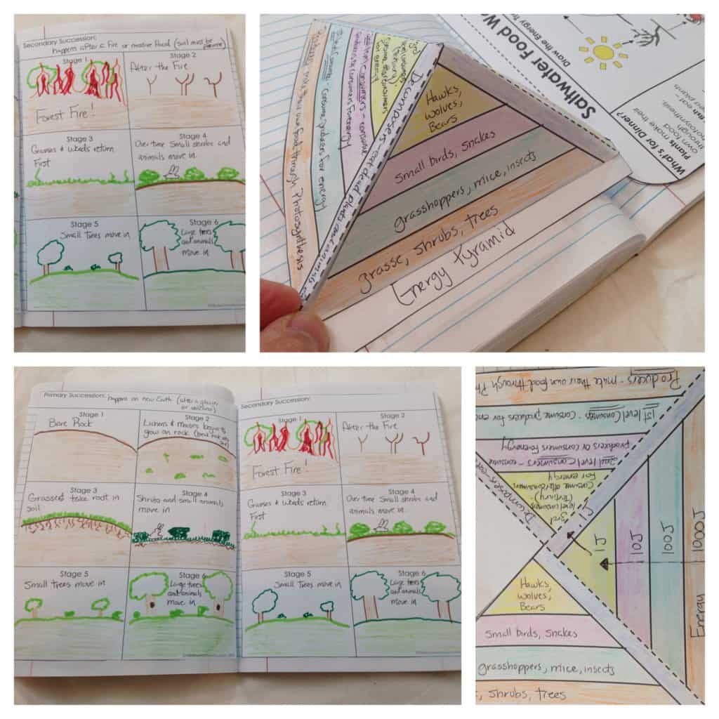 Bullet Journal Templates for Interactive Notebooks!